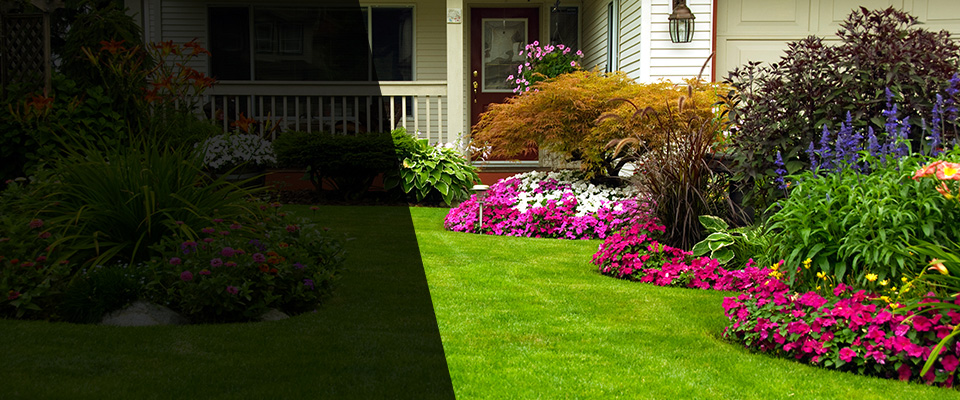 Alma Landscapers